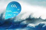 Spray-Mediated Air-Sea Gas Exchange of Carbon Dioxide in High Winds