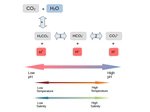 Timescales for the Spray-Mediated Gas Exchange of Carbon Dioxide