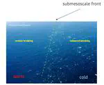 Observations of Surface Wave–Current Interaction